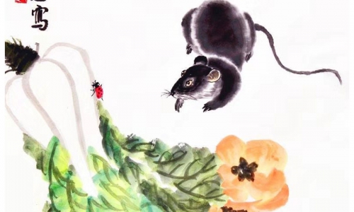 杨世忠《数你有财》